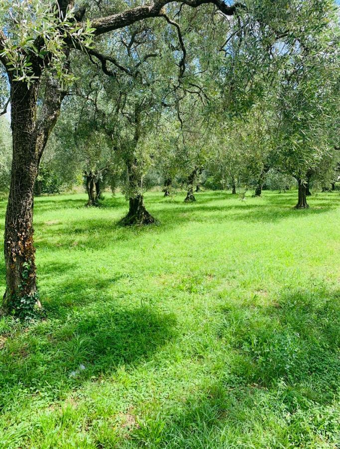 Apartament Casa Eva Con Piscina Privata Moniga del Garda Zewnętrze zdjęcie